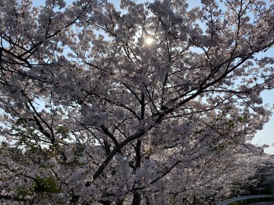 大阪和歌山注文住宅