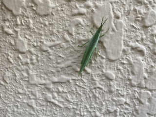 大阪和歌山注文住宅