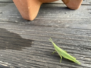 大阪和歌山注文住宅