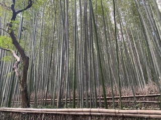 大阪和歌山注文住宅