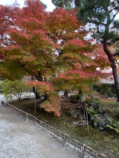 大阪和歌山注文住宅