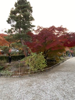 大阪和歌山注文住宅