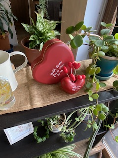 大阪和歌山注文住宅