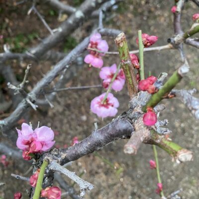 大阪和歌山注文住宅