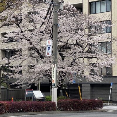 大阪和歌山注文住宅