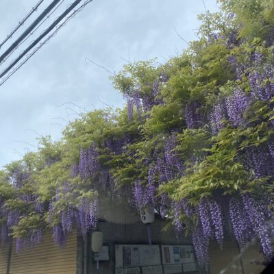 大阪和歌山注文住宅